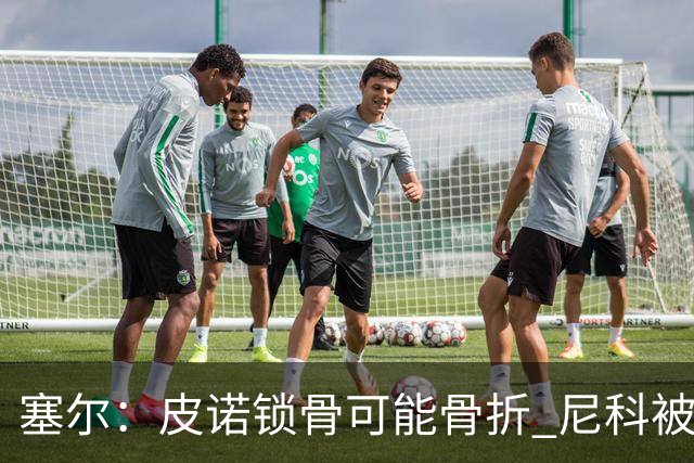 塞尔：皮诺锁骨可能骨折 尼科被铲伤可能提前结束世界杯之旅