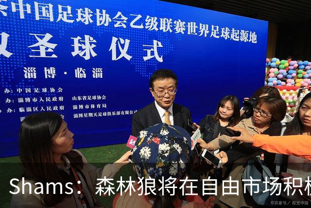 Shams：森林狼将在自由市场积极补强4号位 但他们只能提供底薪